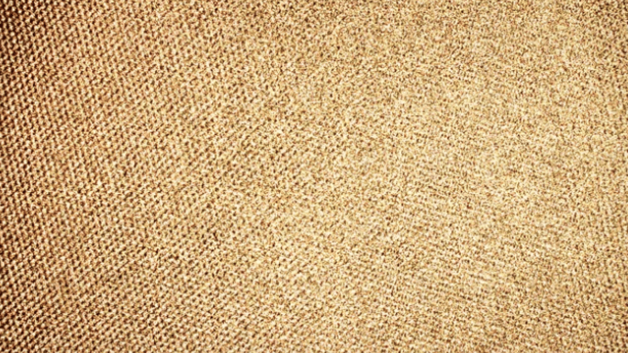 Foto - Tarihin en gizemli kumaşı: 2 bin yıllık gizem çözüldü! Sadece imparatorlar giyebiliyordu...