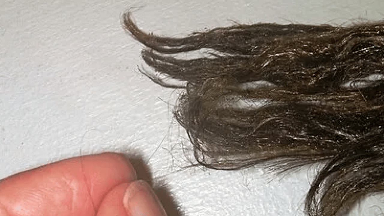 Foto - Tarihin en gizemli kumaşı: 2 bin yıllık gizem çözüldü! Sadece imparatorlar giyebiliyordu...