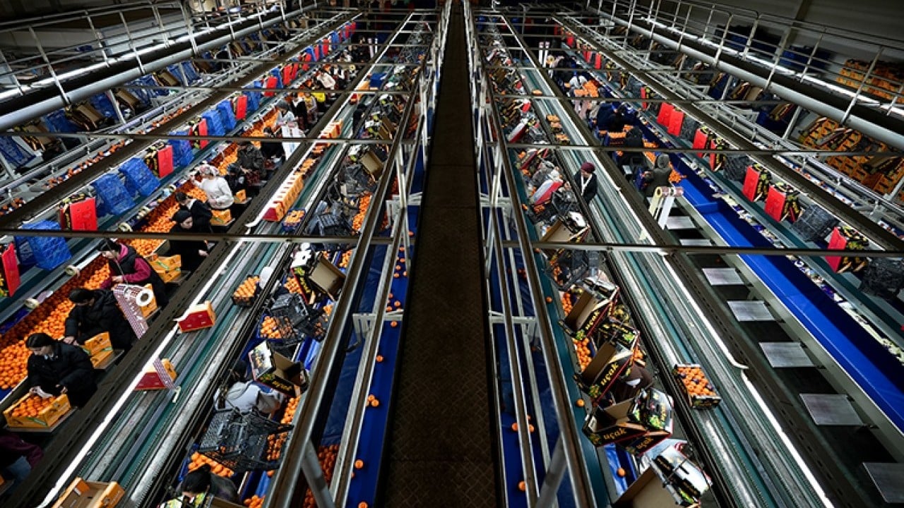 Foto - Tarım bitmiş bitmiş ha ha ha! Mandalina ihracatında tüm zamanların rekoru