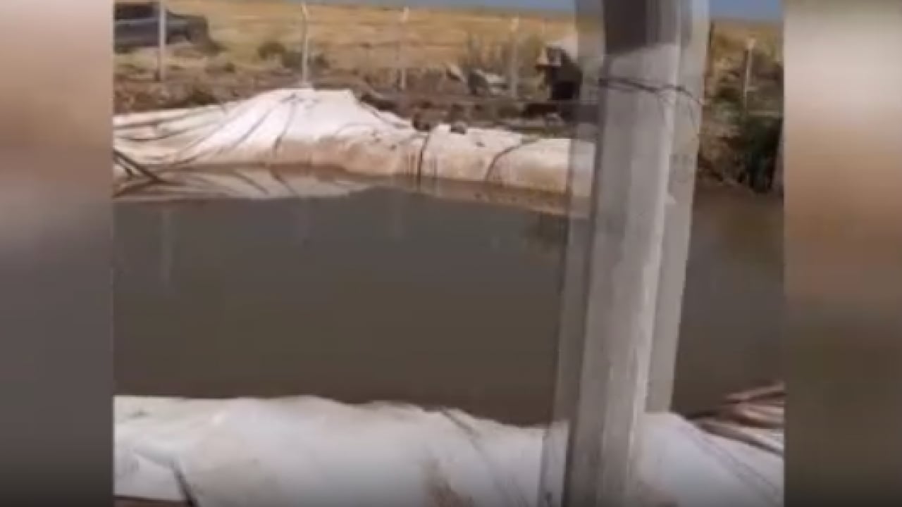 Foto - Tarım ilacı tankı ölüm saçtı! İçtiği sudan zehirlenen 150 küçükbaş telef oldu