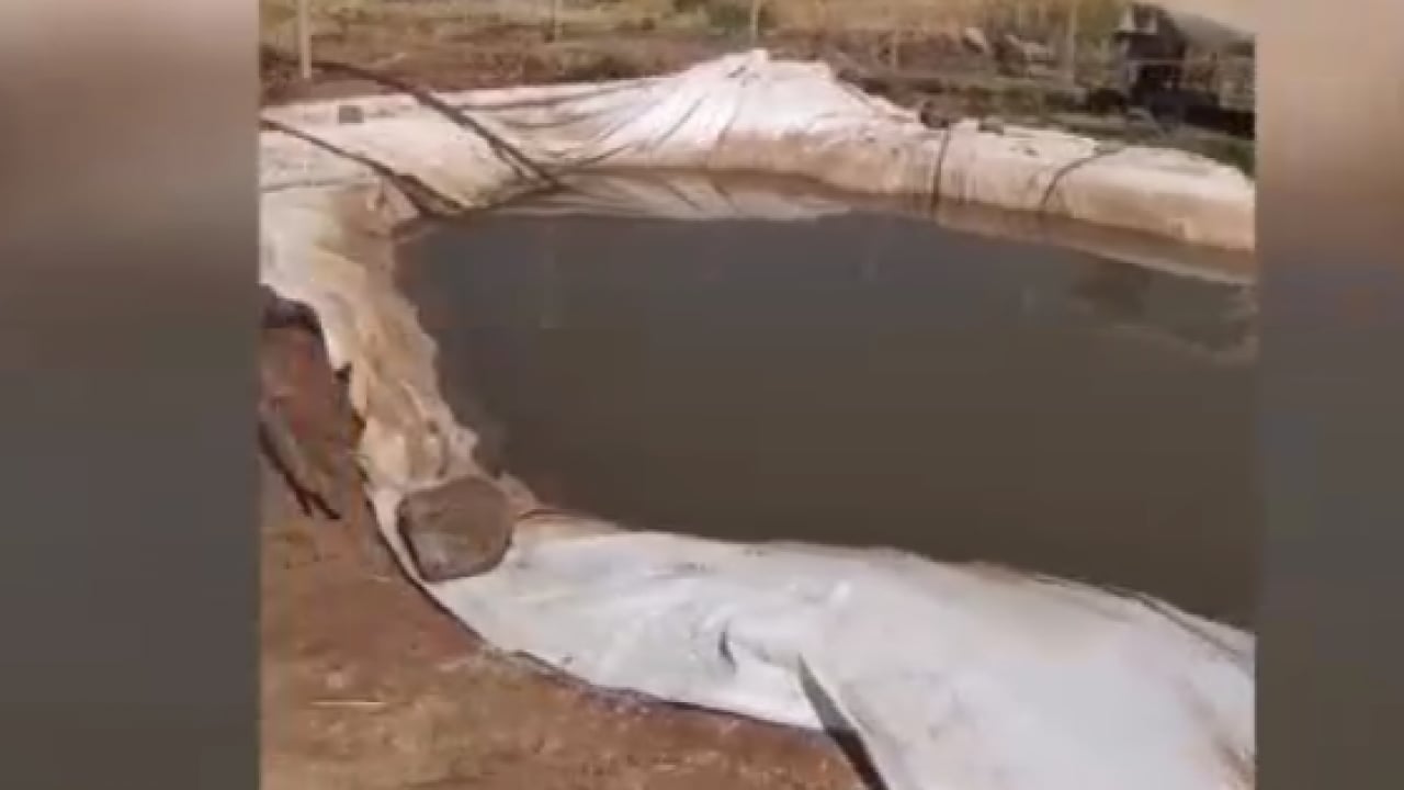 Foto - Tarım ilacı tankı ölüm saçtı! İçtiği sudan zehirlenen 150 küçükbaş telef oldu