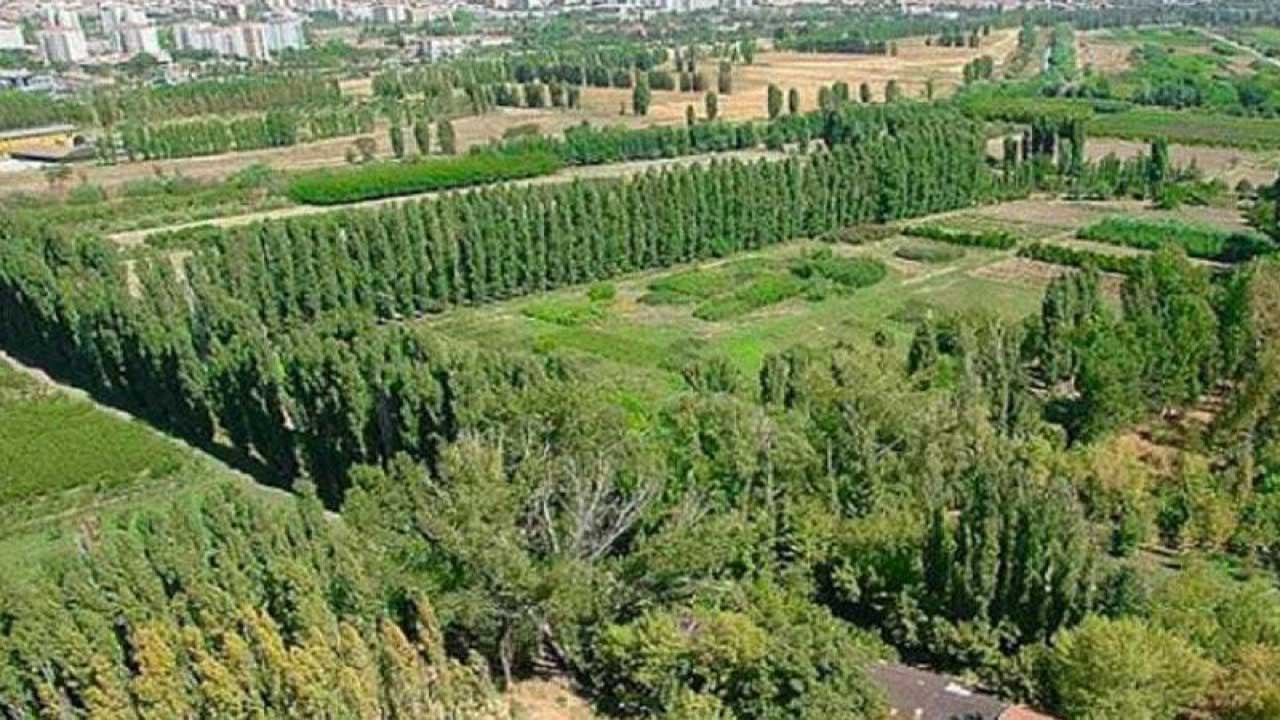 Foto - Tarım, orman ve alkol satışına yönelik yeni düzenlemeler Meclis'te kabul edildi! Reklam yasakları ve idari para cezaları yürürlüğe giriyor!