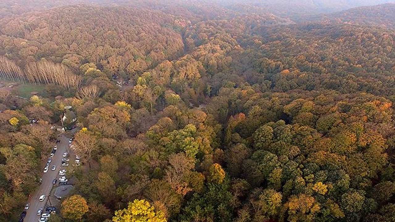Foto - Tarım, orman ve alkol satışına yönelik yeni düzenlemeler Meclis'te kabul edildi! Reklam yasakları ve idari para cezaları yürürlüğe giriyor!