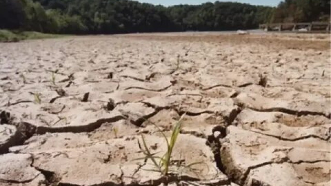 Foto - Tarımda 2025 yılı böyle geçti! Kuraklık ve don vurdu, teknoloji ve yeni destekler can suyu oldu