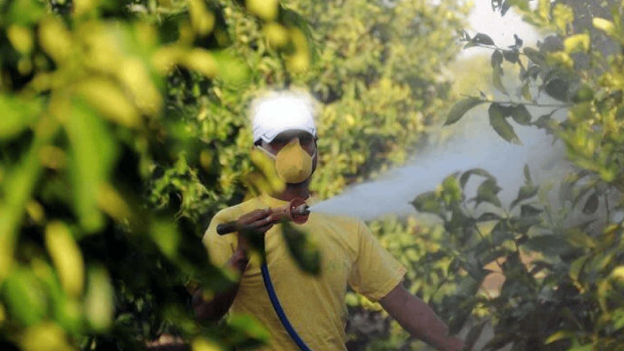 Foto - Tarımda ‘B-Reçete’ dönemi başlıyor! Reçetesi olmayan çiftçi ilaç alamayacak: İşte 5 soruda yeni kurallar