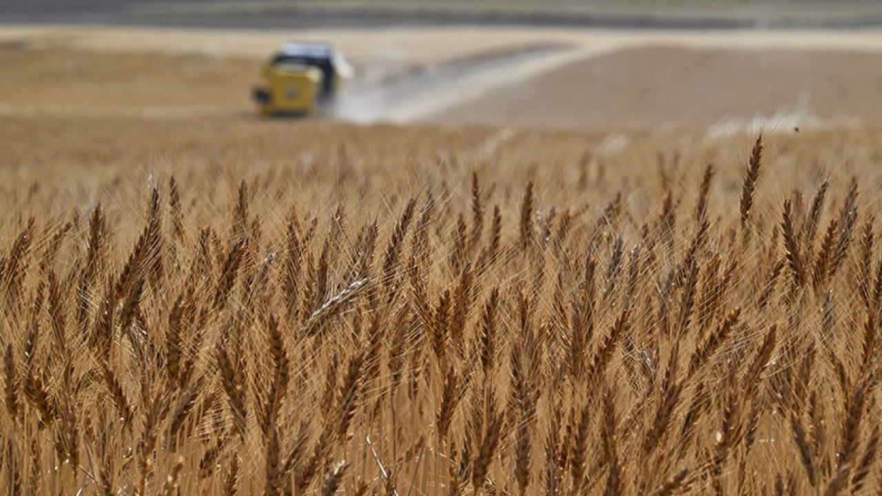Foto - Tarımda yeni dönem: B-Reçete geliyor