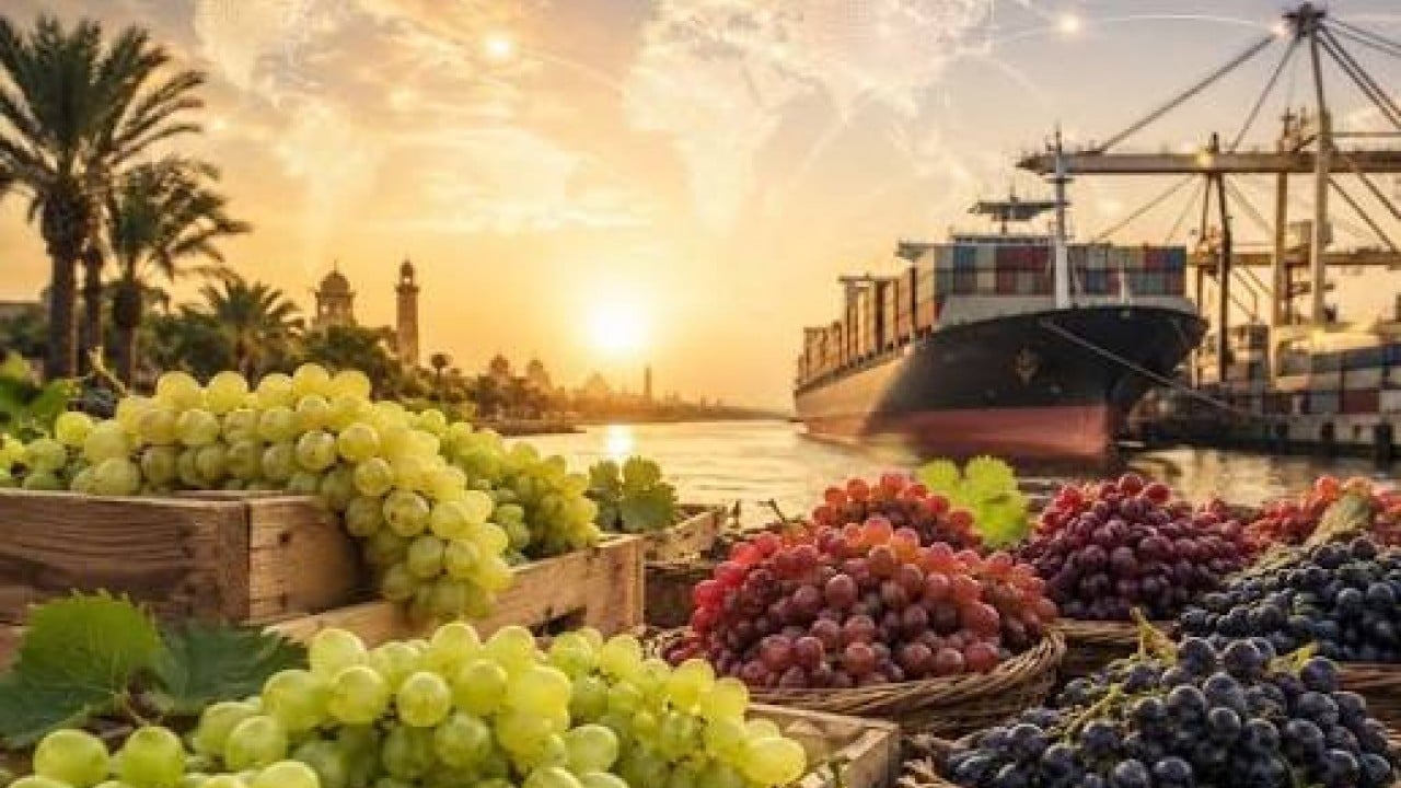 Foto - "Tarımı bitirdiler" diyen güruha tokat gibi gerçek Meyve sebze ihracatı ilk kez rekor kırdı
