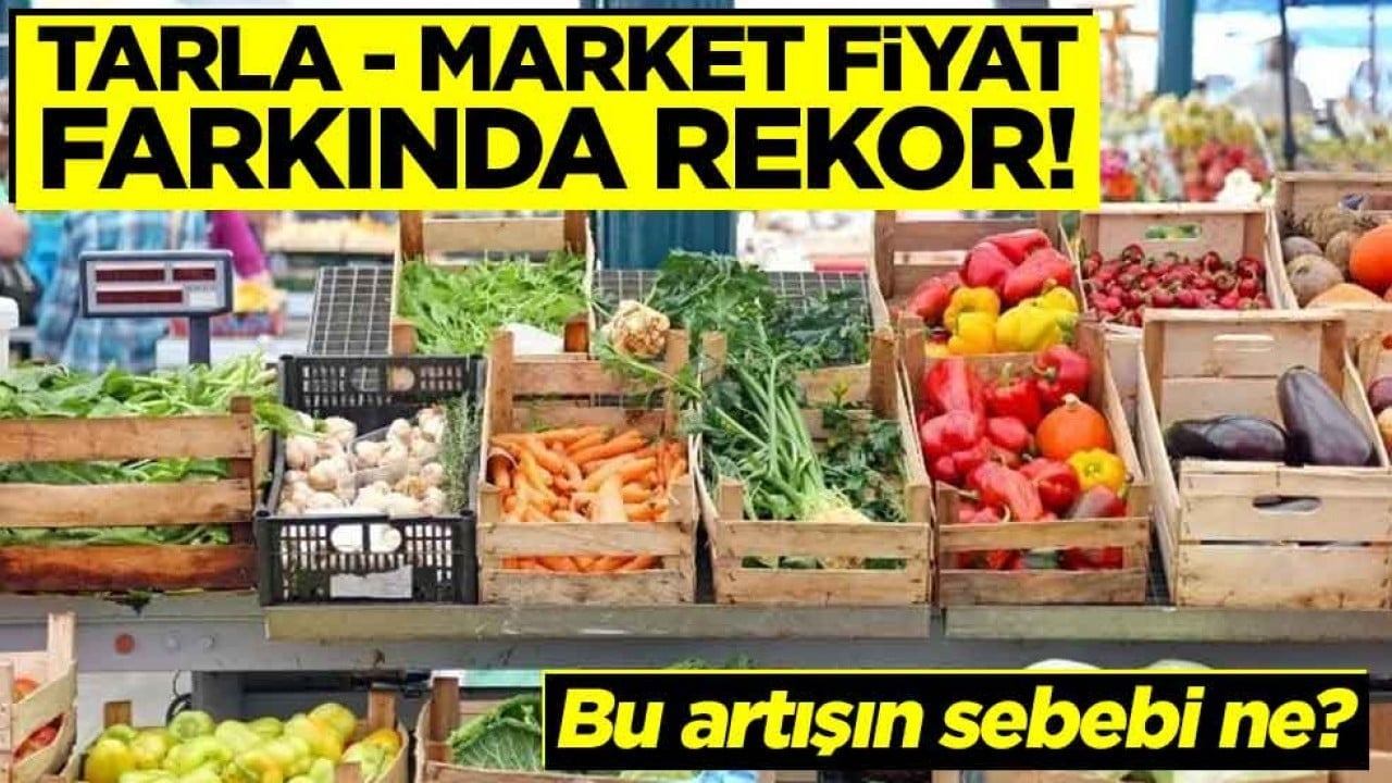 Tarla - market fiyat farkında rekor! Bu artışın sebebi ne?