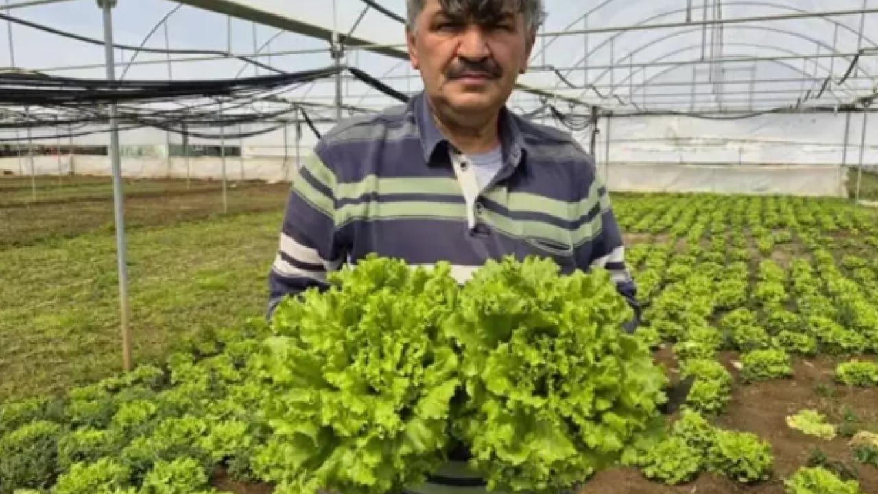 Tarlada 15, tezgahta 100 lira! Fiyat farkı isyan ettirdi!