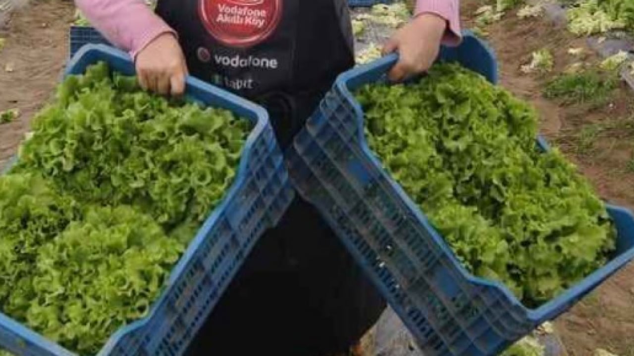 Foto - Tarlada 15, tezgahta 100 lira! Fiyat farkı isyan ettirdi!