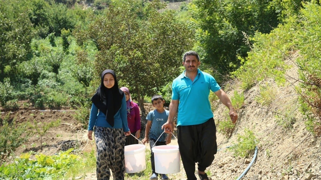 Foto - Tarlada çalışırken hazırlandığı YKS'de derece yaptı! Mevlüde şimdi hakim olmak istiyor