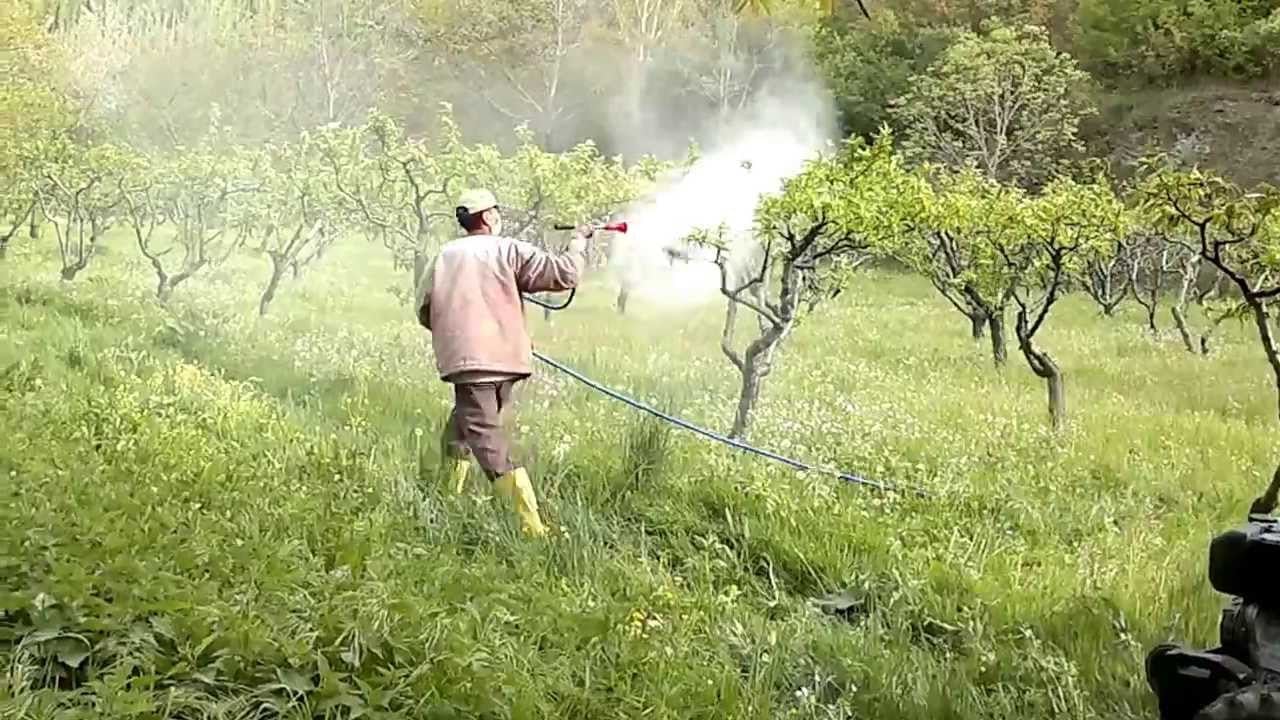 Foto - Tarladan sofraya güvenli gıda! Işte B-Reçete’de Merak Edilenler