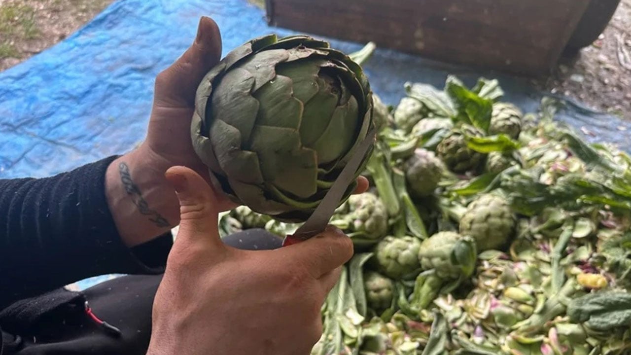 Foto - Tarlasına bu ürünü eken küçücük mahalle zengin oldu! Dönüm başına 60 bin lira kazanıyorlar