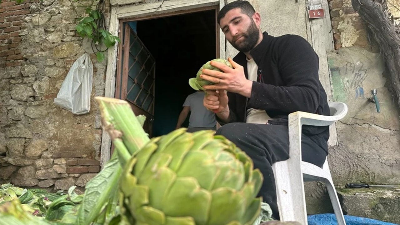 Foto - Tarlasına bu ürünü eken küçücük mahalle zengin oldu! Dönüm başına 60 bin lira kazanıyorlar
