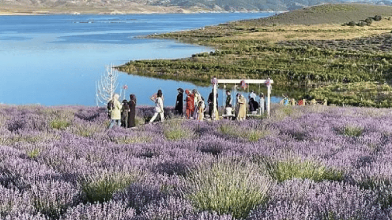 Foto - Tarlasına eken köşeyi dönüyor! Yıllarca getiri sağlıyor!