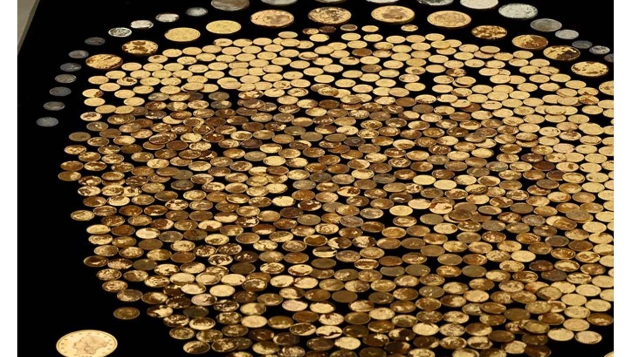 Foto - Tarlaya gitti, bir gecede dolar milyoneri oldu!