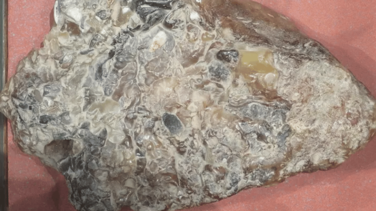 Taş sanıp geçmeyin, içinden servet çıkabilir: Gramı altından değerli! Sahilde bu gri parçayı gören köşeyi dönüyor