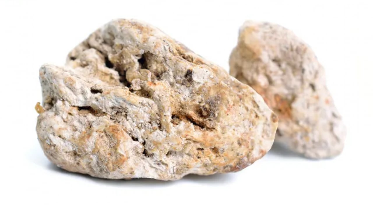 Foto - Taş sanıp geçmeyin, içinden servet çıkabilir: Gramı altından değerli! Sahilde bu gri parçayı gören köşeyi dönüyor