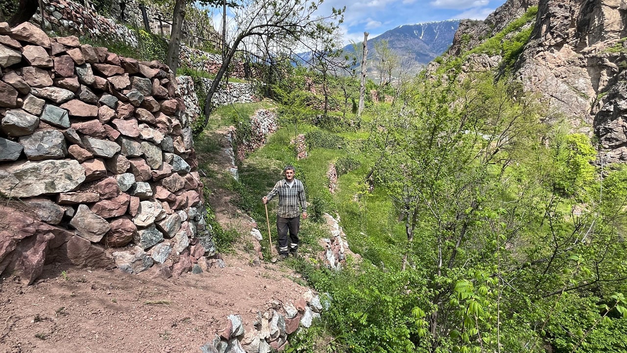 Foto - Taş taş örerek dağı tarlaya çevirdi 