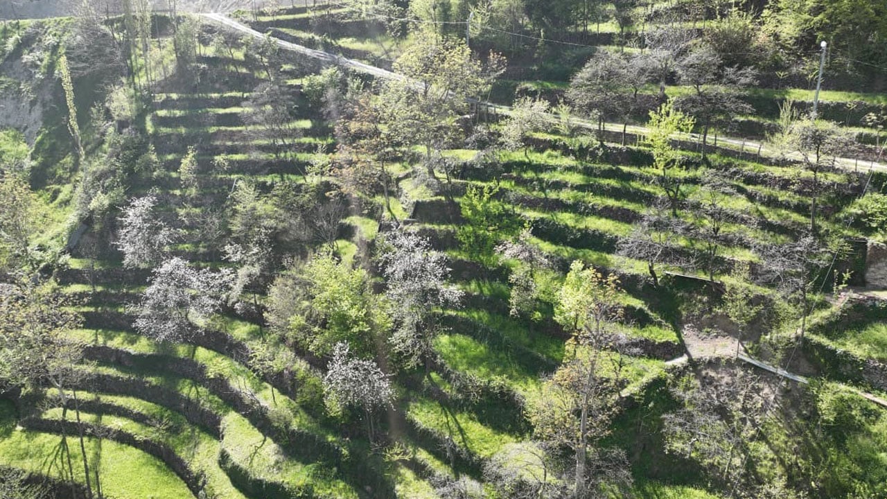 Foto - Taş taş örerek dağı tarlaya çevirdi 