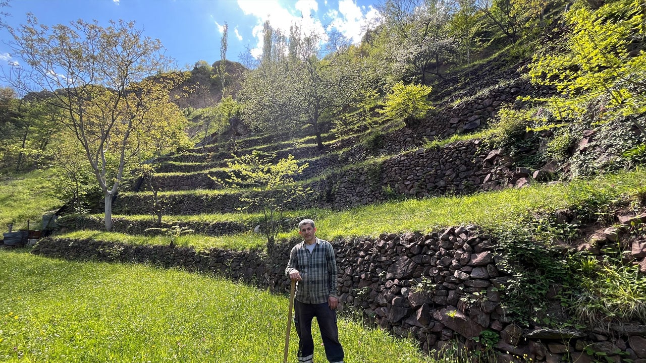 Foto - Taş taş örerek dağı tarlaya çevirdi 