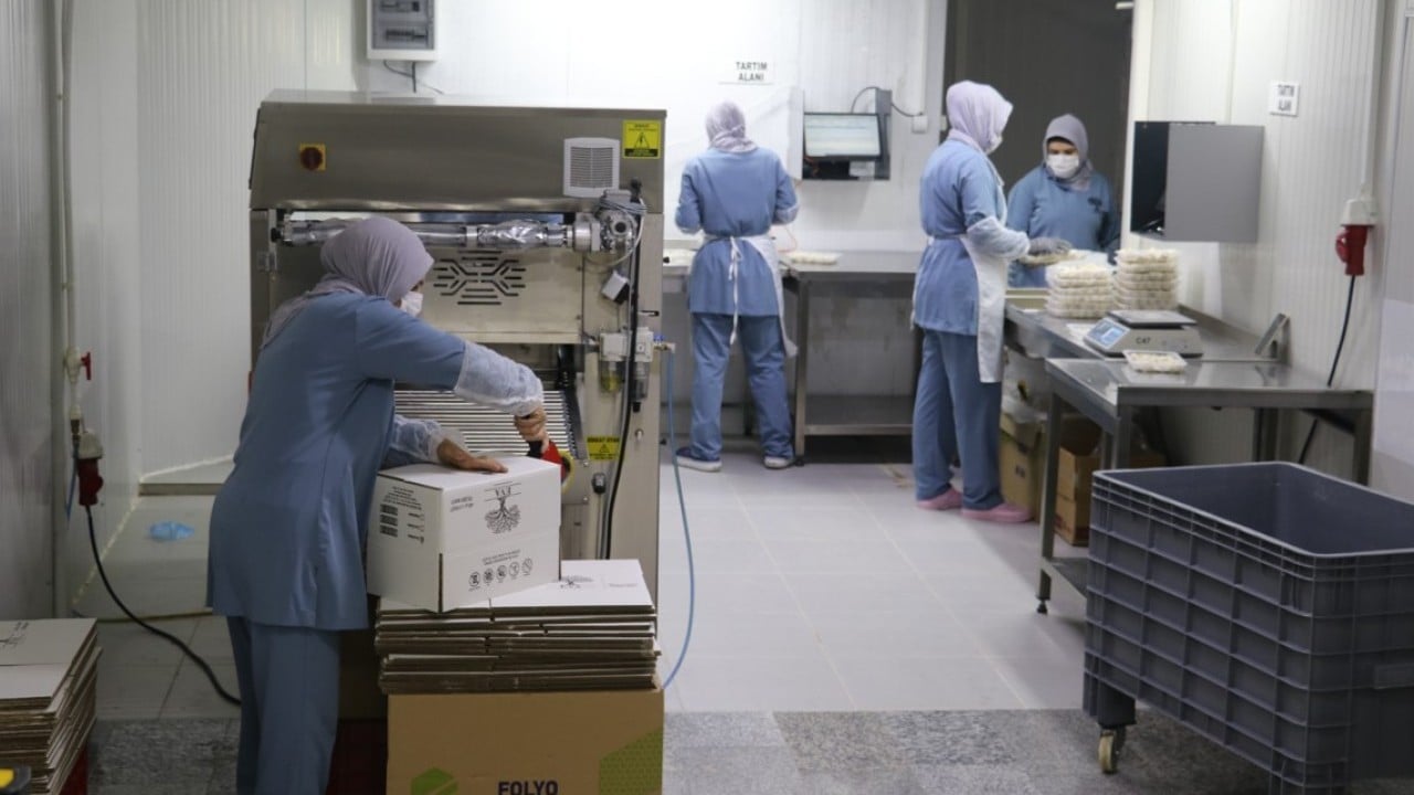 Foto - Tatilde tattı, imalathane kurdu! Şimdi 100 kişiye istihdam sağlıyor