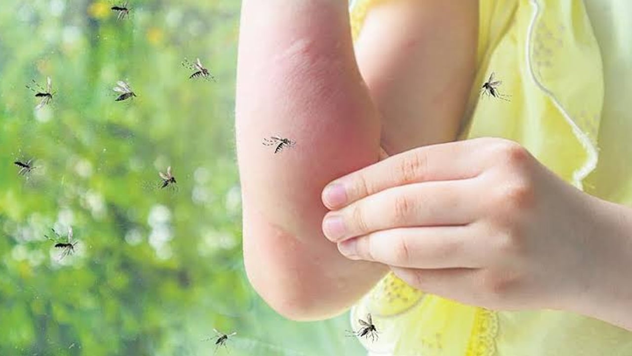 Foto - ‘Tatlı kan’ efsanesi çöktü! Sivrisineklerin sizi seçmesinin nedeni bakın neymiş?