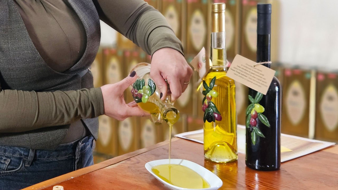 Foto - Tavşan yüreği zeytinyağı deneylerde şaşırttı! Kemoterapi kadar etkili