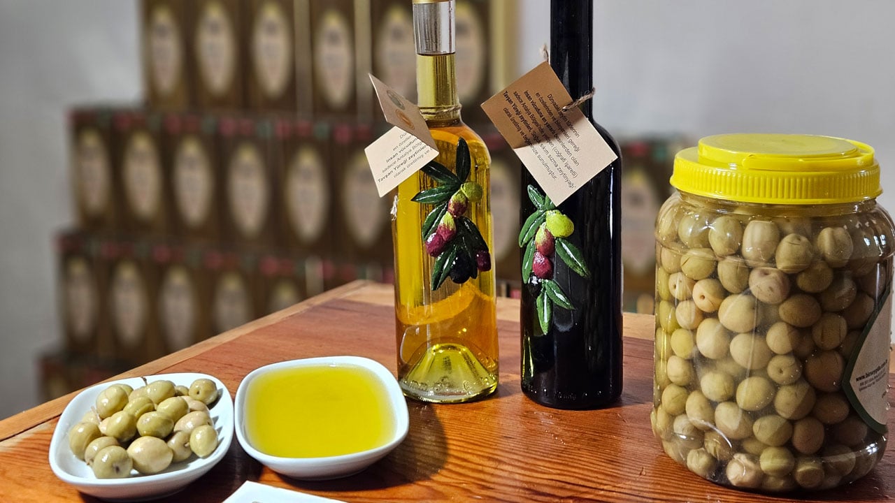 Foto - Tavşan yüreği zeytinyağı deneylerde şaşırttı! Kemoterapi kadar etkili