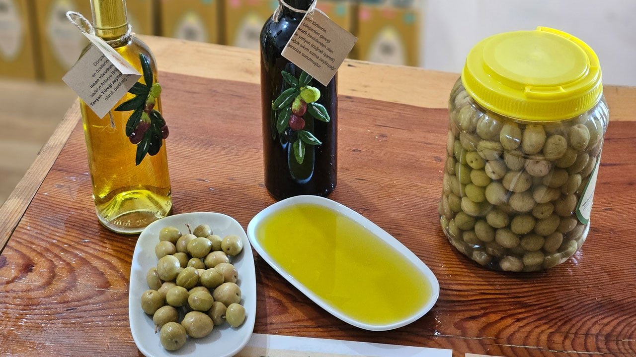 Tavşan yüreği zeytinyağı deneylerde şaşırttı! Kemoterapi kadar etkili