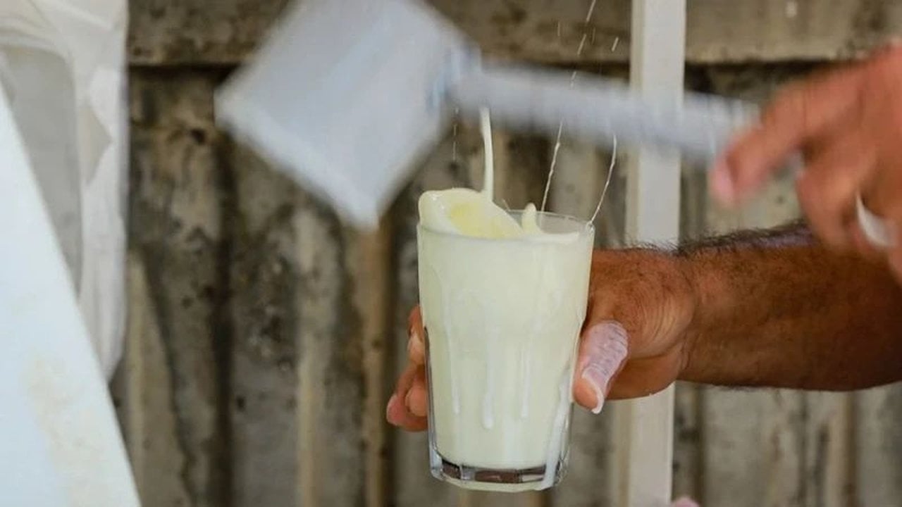 Foto - Tavuk dönerin yanında bunları sakın ama sakın tüketmeyin! Ölüm riski bile var
