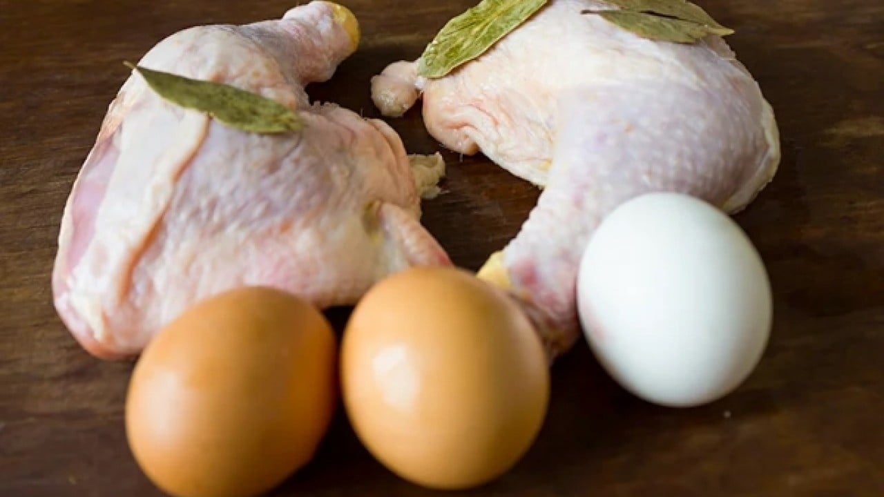 Tavuk eti ve yumurta üretiminde artış sürüyor