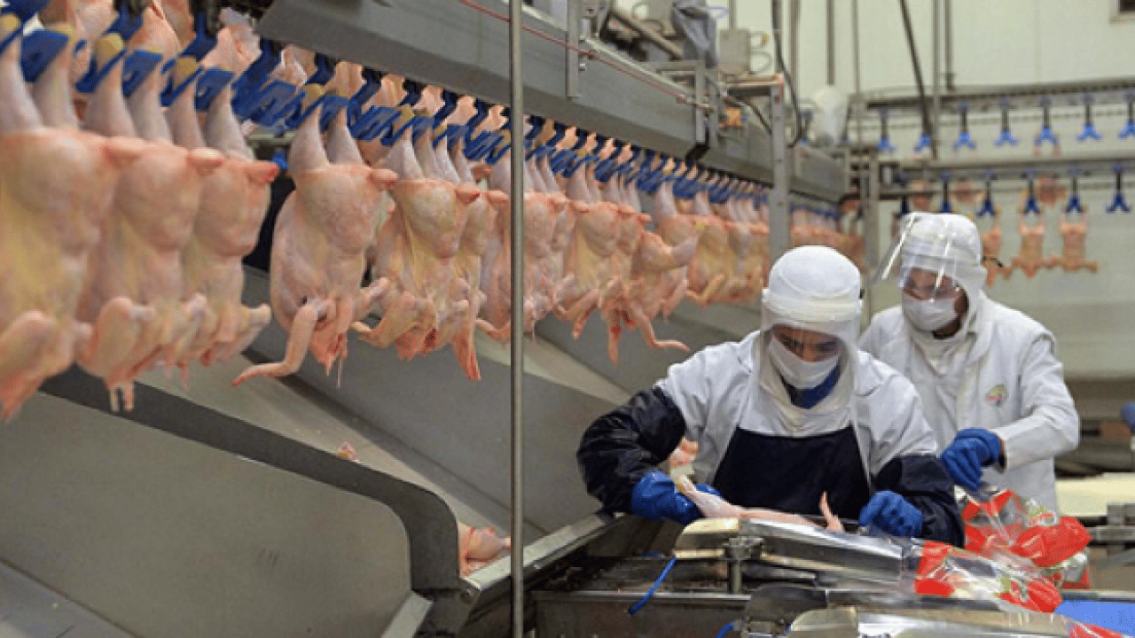 Foto - Tavuk fiyatlarına ‘ihracat’ freni: Bakanlık Ramazan zamcılarına acımadı