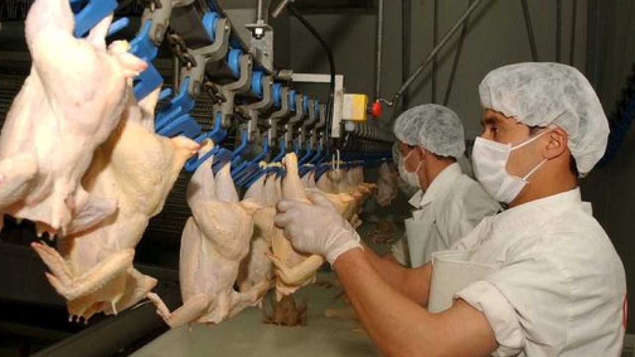 Foto - Tavuk fiyatlarına ‘ihracat’ freni: Bakanlık Ramazan zamcılarına acımadı