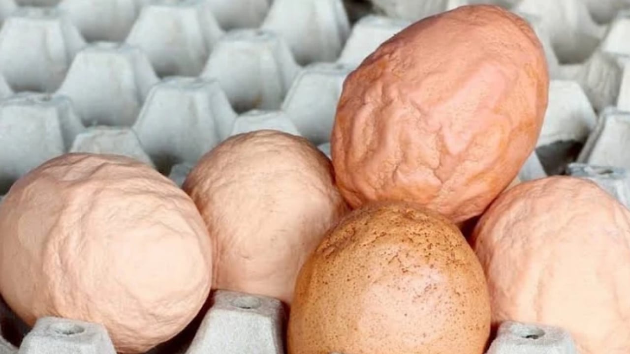 Foto - Tavuklar buruşuk yumurtladı! Nedeni sonradan anlaşıldı!