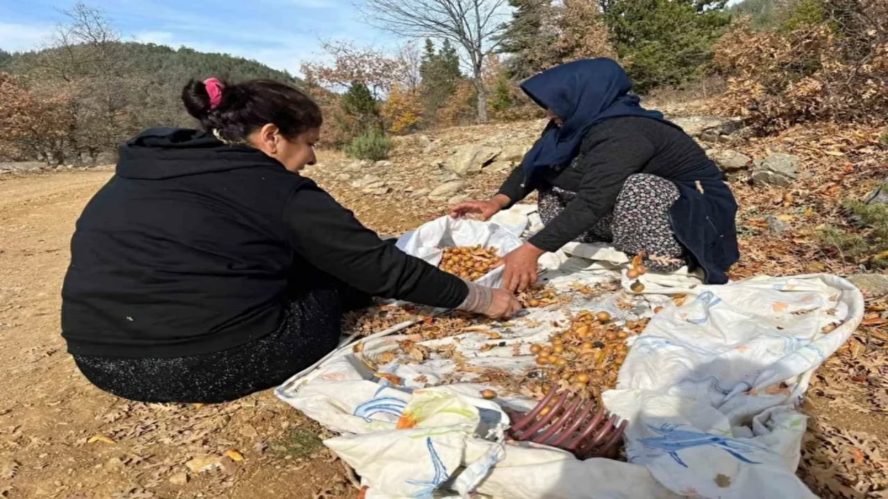 Foto - Teee 30 sene önce gizemli biri yaptı ve birden ortadan kayboldu! Toplayan hem satıyor, hem biiznillah şifa buluyor