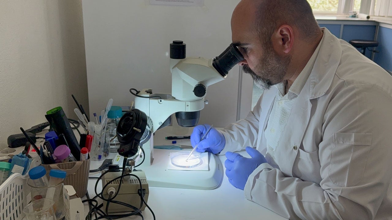 Foto - Tehlike bu sene de sürecek! Kar yağdı diye rehavete kapılmayın