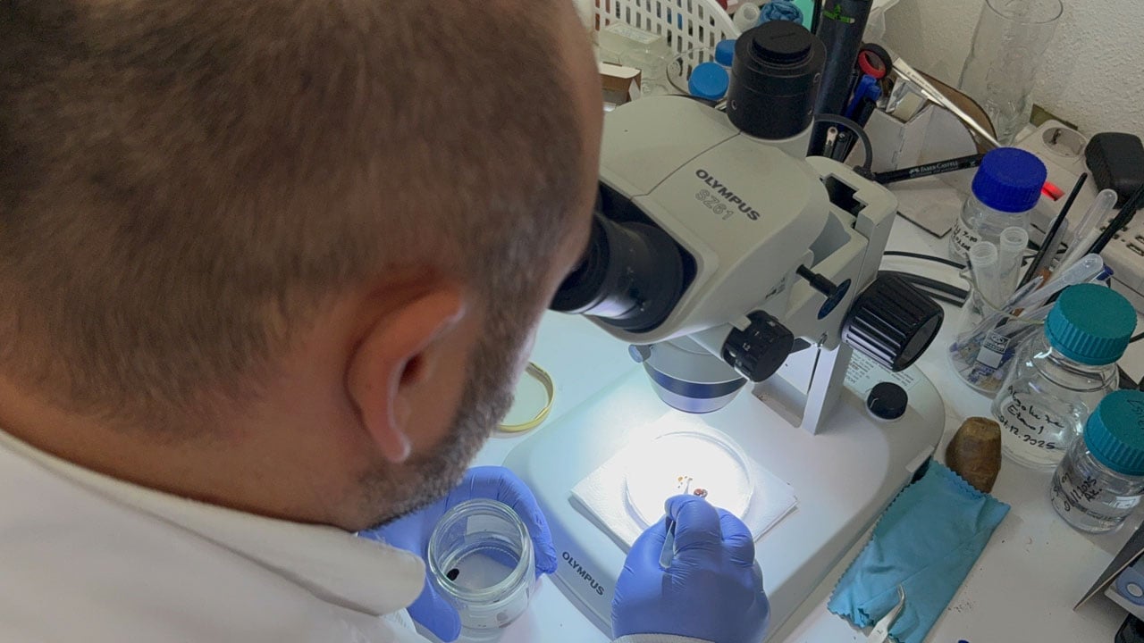 Foto - Tehlike bu sene de sürecek! Kar yağdı diye rehavete kapılmayın