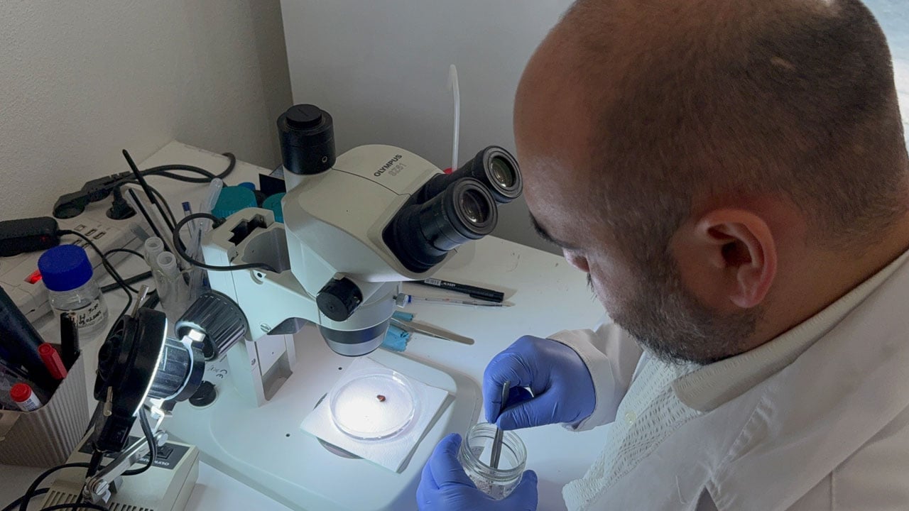 Foto - Tehlike bu sene de sürecek! Kar yağdı diye rehavete kapılmayın