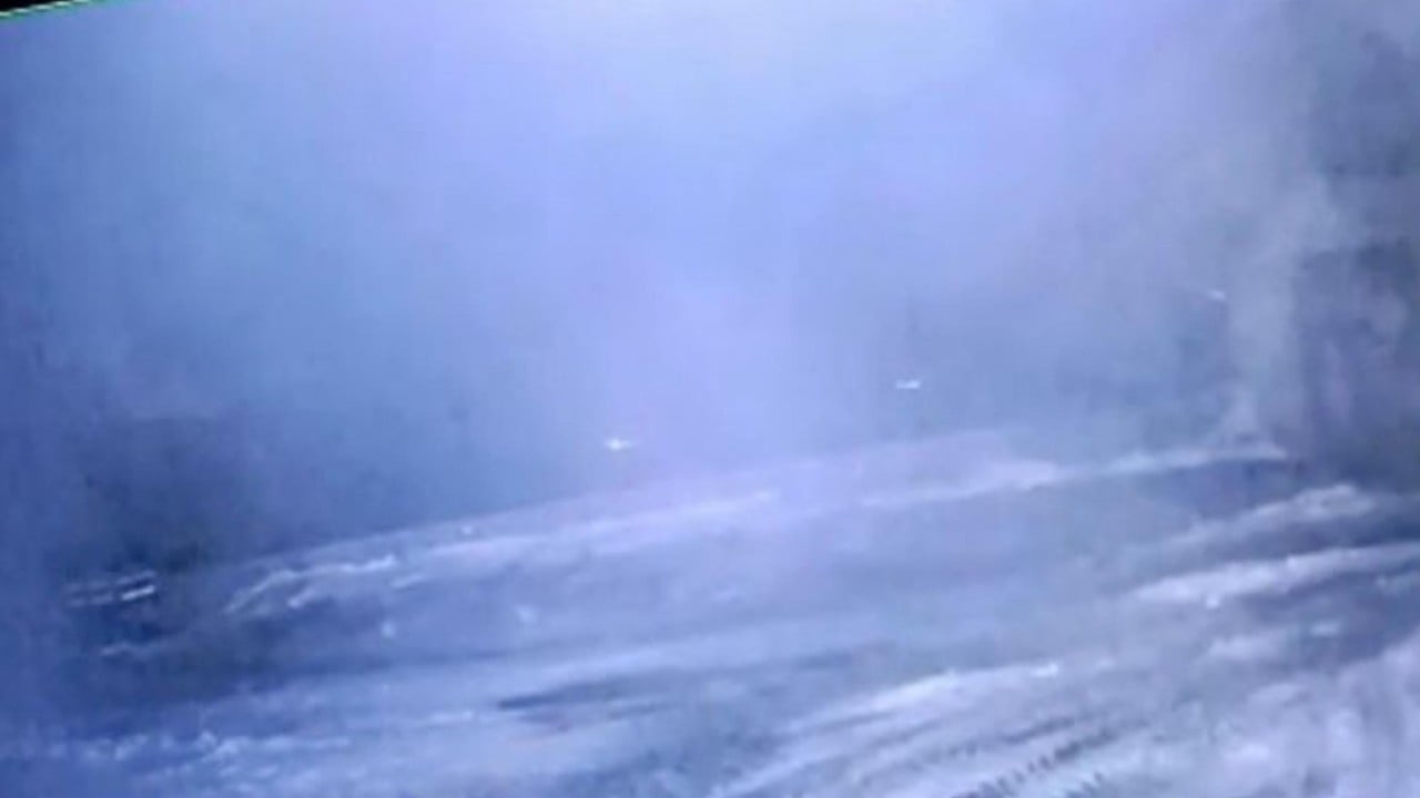 Tek başına 200 koyunu öldürdü