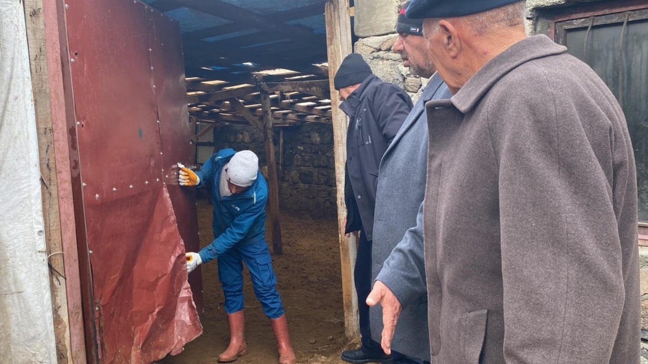 Foto - Tek başına 200 koyunu öldürdü