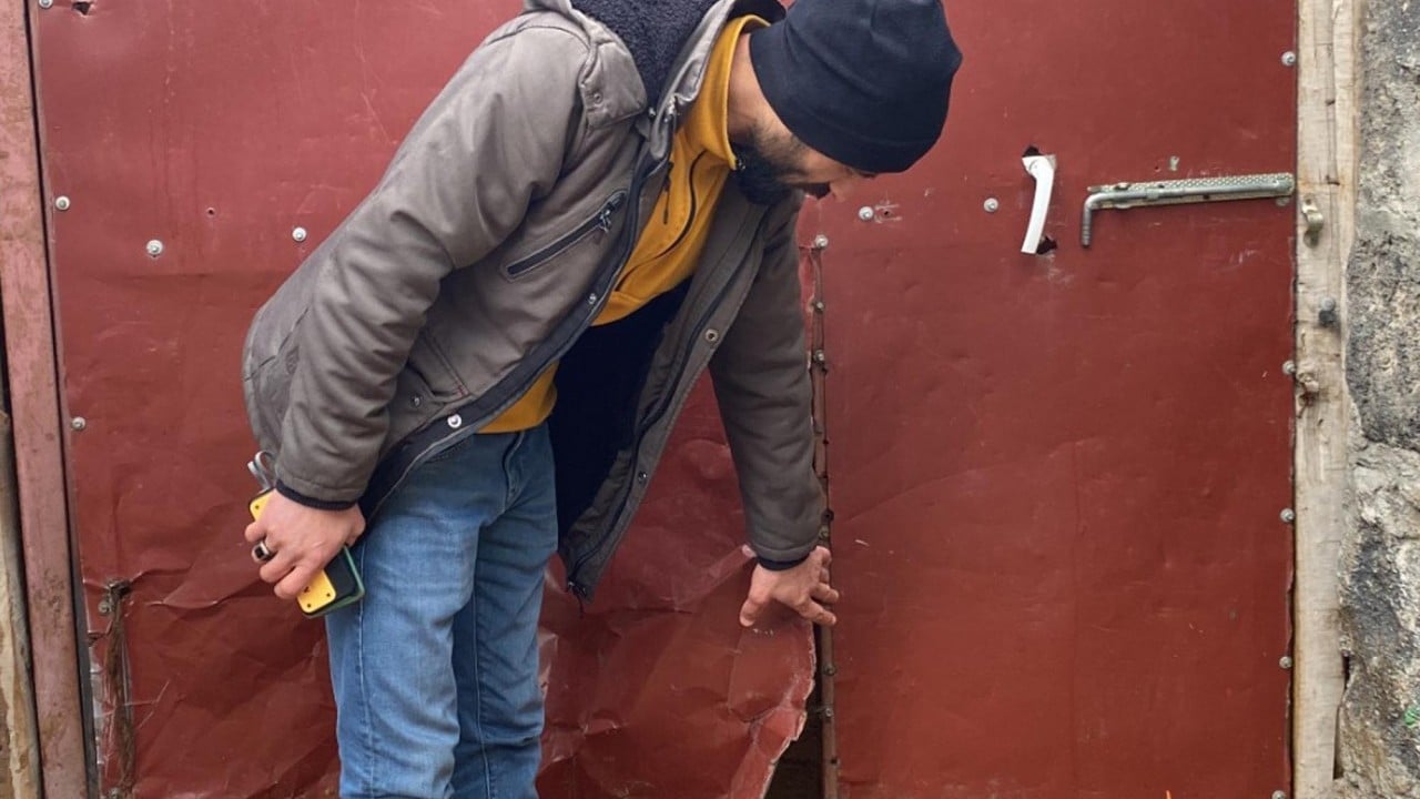 Foto - Tek başına 200 koyunu öldürdü