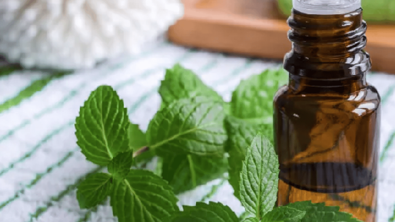 Foto - Tek hamleyle evdeki karıncalardan kurtulun! Kokusunu aldıkları anda...