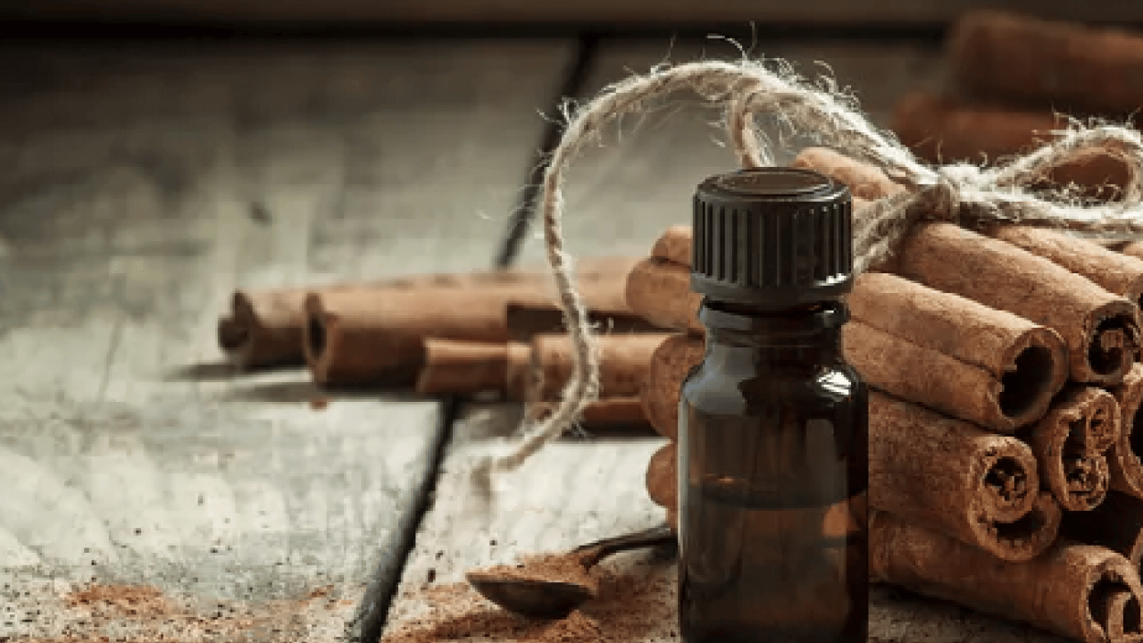 Foto - Tek hamleyle evdeki karıncalardan kurtulun! Kokusunu aldıkları anda...