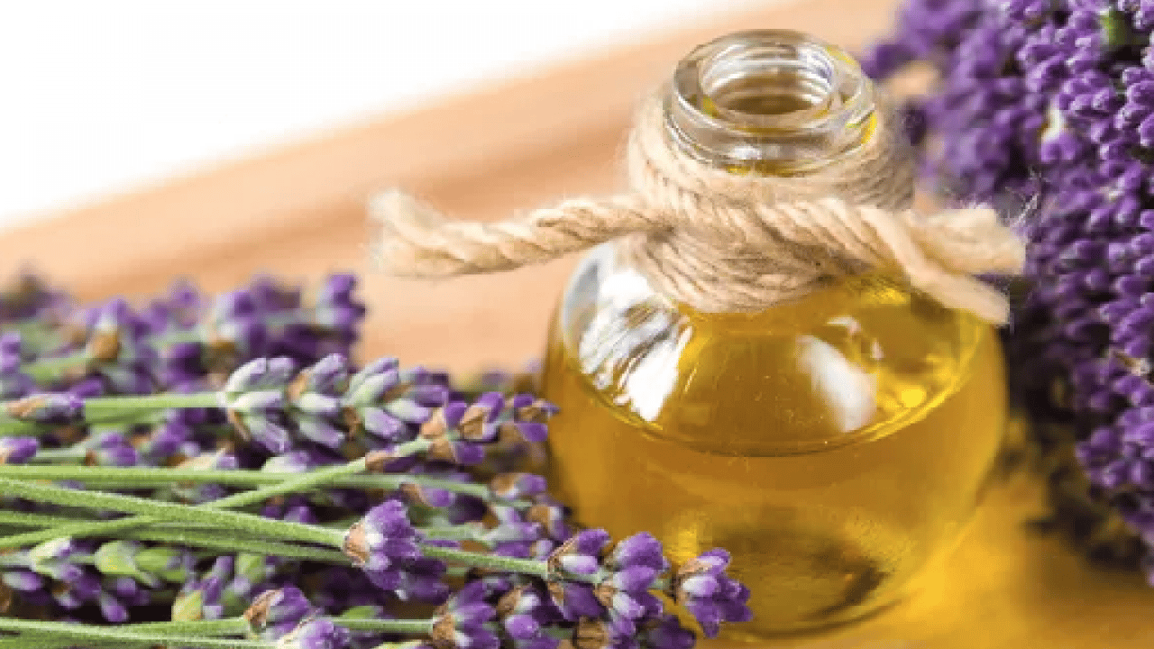 Foto - Tek hamleyle evdeki karıncalardan kurtulun! Kokusunu aldıkları anda...