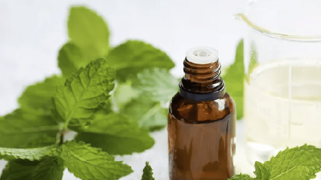 Foto - Tek hamleyle evdeki karıncalardan kurtulun! Kokusunu aldıkları anda...