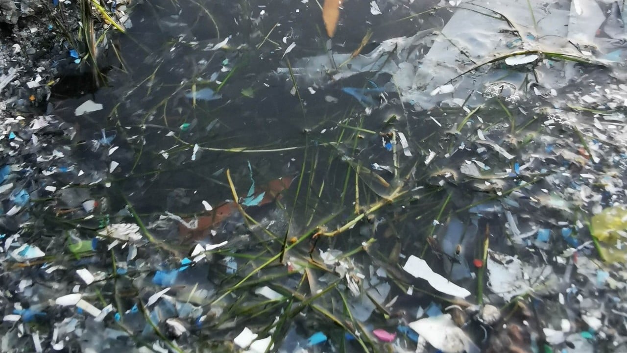 Foto - Tek kullanımlık plastik ürünler 1 Eylül'de yasak