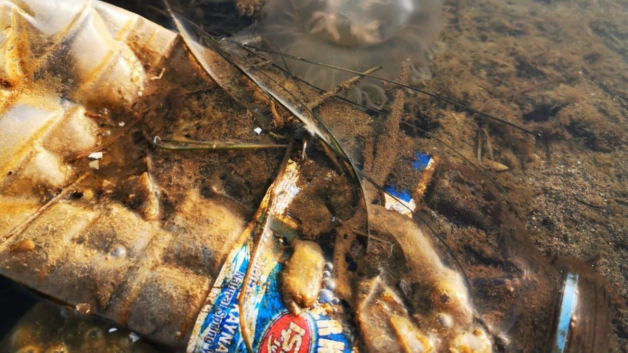 Foto - Tek kullanımlık plastik ürünler 1 Eylül'de yasak