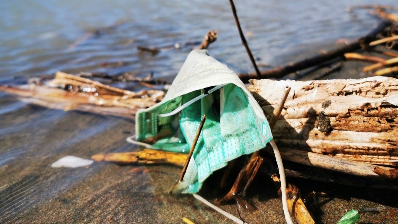 Foto - Tek kullanımlık plastik ürünler 1 Eylül'de yasak