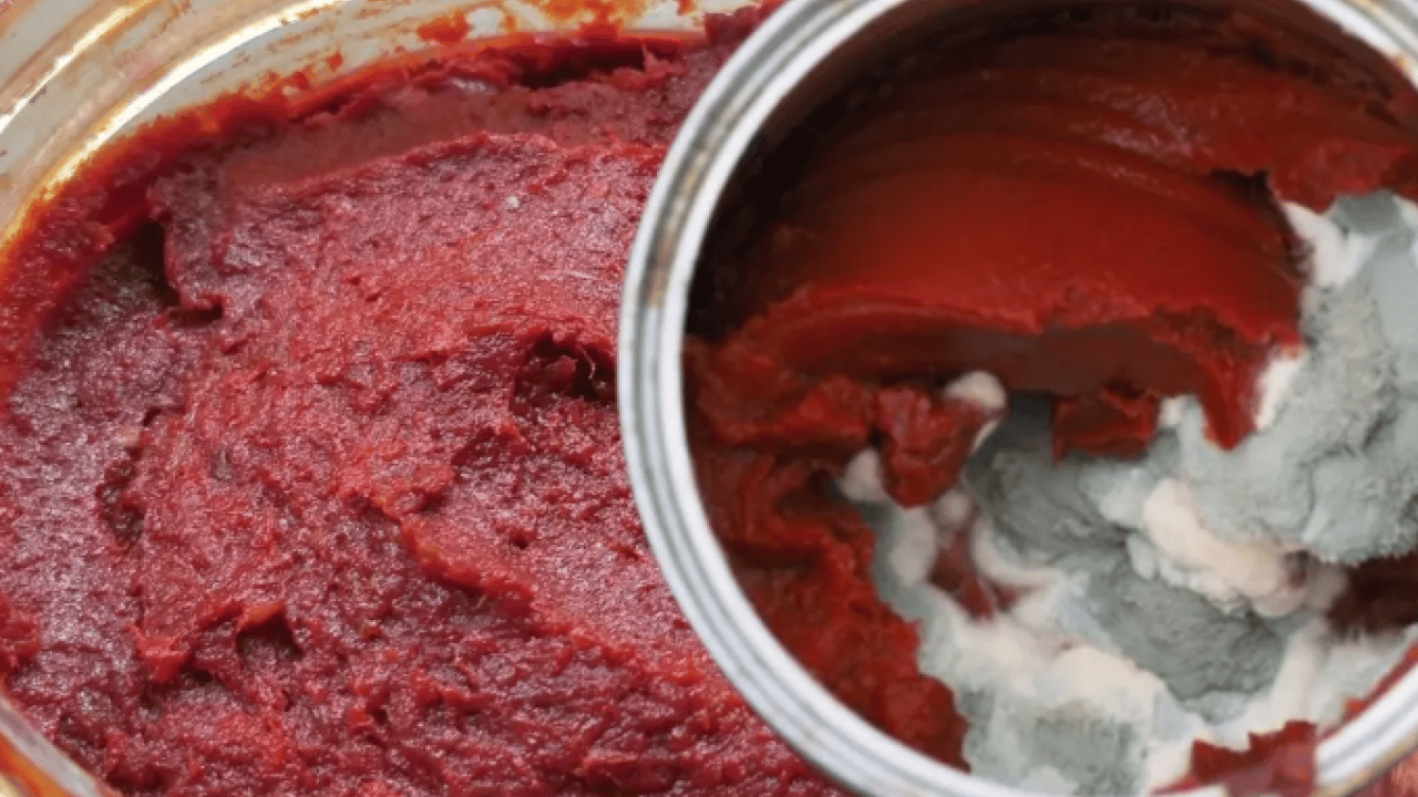 Foto - Tek malzeme ikisini de çözüyor: Salça küflenmesi ve süt taşmasına çare!